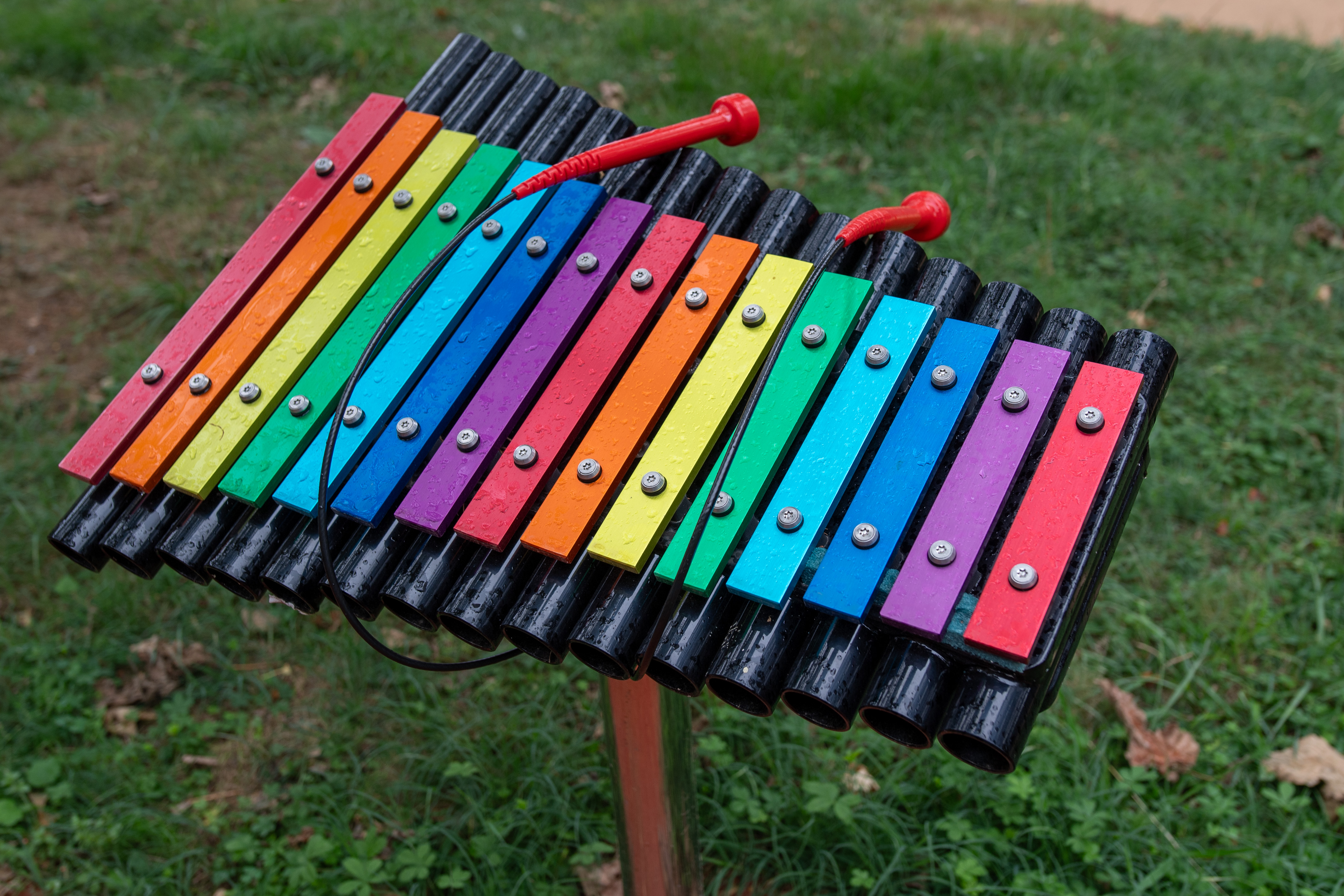 xylophone