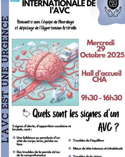 JIOURNEE INTERNATIONALE DE L'AVC 29 OCTOBRE 2025