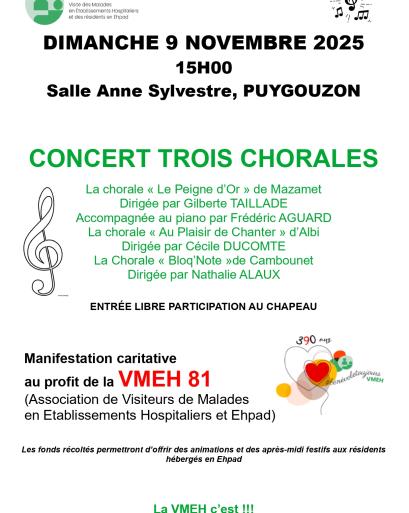 VMEH DIMANCHE 9 NOVEMBRE 2025